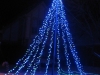 blue_mega_tree