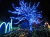 Tree_Blue_Green